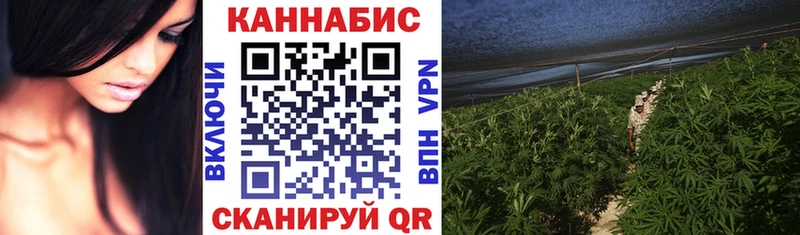 МАРИХУАНА индика  Гай 
